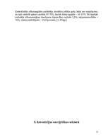 Referāts 'Enerģētika', 12.