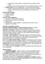 Konspekts 'Socioloģija', 5.