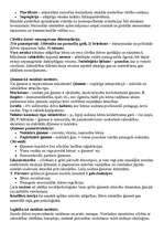 Konspekts 'Socioloģija', 7.