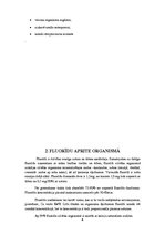 Referāts 'Fluorīdu ietekme uz mutes dobuma veselību', 6.