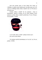 Biznesa plāns 'Mārketinga plāns', 6.