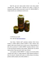 Biznesa plāns 'Mārketinga plāns', 8.