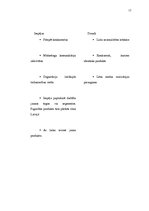 Biznesa plāns 'Mārketinga plāns', 17.