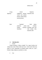 Biznesa plāns 'Mārketinga plāns', 20.