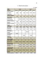 Biznesa plāns 'Mārketinga plāns', 25.