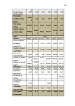 Biznesa plāns 'Mārketinga plāns', 26.