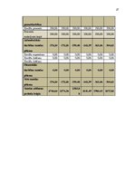 Biznesa plāns 'Mārketinga plāns', 27.