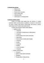 Prakses atskaite 'Fizioterapija', 23.