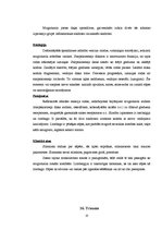 Prakses atskaite 'Fizioterapija', 33.