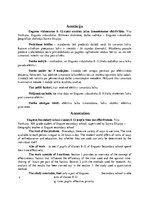 Referāts 'Engures vidusskolas 8.-12.klašu laika izmantošanas efektivitāte', 3.