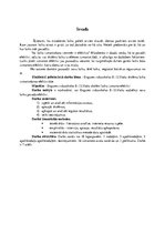 Referāts 'Engures vidusskolas 8.-12.klašu laika izmantošanas efektivitāte', 5.