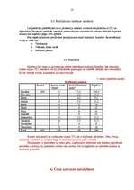 Biznesa plāns 'Viesnīca “Kore”', 13.