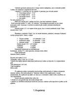 Biznesa plāns 'Viesnīca “Kore”', 17.