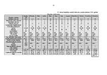 Biznesa plāns 'Viesnīca “Kore”', 33.