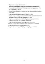 Referāts 'Mūžizglītība kā patstāvīgas radošas darbības īstenošanas mehānisms', 13.