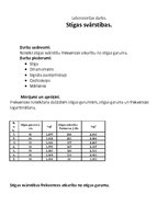 Paraugs 'Laboratorijas darbs fizikā - stīgas svārstības', 1.