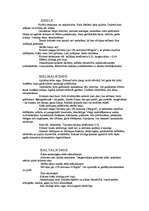 Konspekts 'Koki', 1.