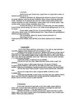 Konspekts 'Koki', 2.