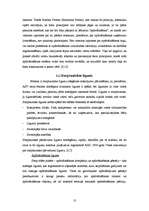 Referāts 'Apdrošināšana starptautiskajos tirdzniecības darījumos', 10.