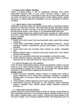 Referāts 'Koncepcija par atbalstu ģimenēm ar bērniem', 4.