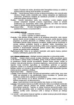 Referāts 'Koncepcija par atbalstu ģimenēm ar bērniem', 12.