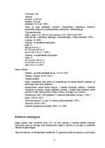 Referāts 'Islande', 12.