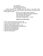 Referāts 'Lieldienas - pavasara saulgrieži', 15.