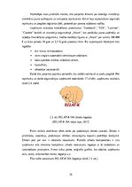 Diplomdarbs 'Uzņēmumā Relat-K klientu apkalpošanas kvalitātes pilnveidošana loģistikas proces', 28.