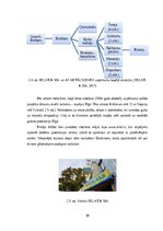 Diplomdarbs 'Uzņēmumā Relat-K klientu apkalpošanas kvalitātes pilnveidošana loģistikas proces', 29.