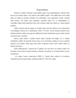 Biznesa plāns 'Atpūtas un izklaides klubs "El pasion"', 4.