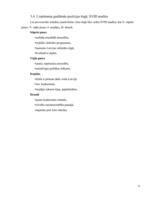 Biznesa plāns 'Atpūtas un izklaides klubs "El pasion"', 16.