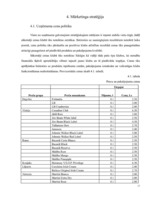 Biznesa plāns 'Atpūtas un izklaides klubs "El pasion"', 17.