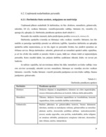 Biznesa plāns 'Atpūtas un izklaides klubs "El pasion"', 28.