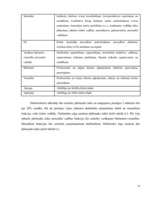 Biznesa plāns 'Atpūtas un izklaides klubs "El pasion"', 29.