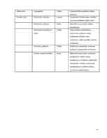 Biznesa plāns 'Atpūtas un izklaides klubs "El pasion"', 34.