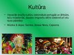 Prezentācija 'Brazīlijas kultūra', 8.