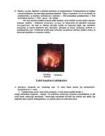 Konspekts 'Sirds', 2.