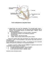 Konspekts 'Sirds', 3.