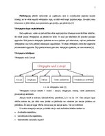 Referāts 'Vērtspapīri', 5.