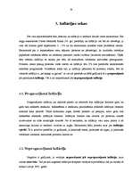 Referāts 'Inflācija Latvijas valstī', 14.