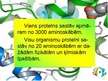 Prezentācija 'Olbaltumvielas. Proteīni', 3.