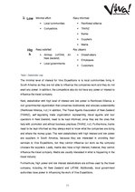 Referāts 'The Institution Analysis - Viva Expeditions', 11.