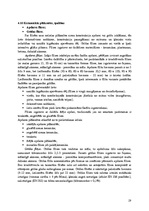 Konspekts 'Būvmateriāli', 19.