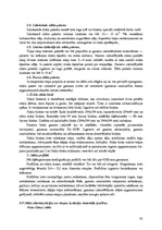 Konspekts 'Būvmateriāli', 32.