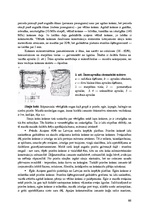 Konspekts 'Būvmateriāli', 66.