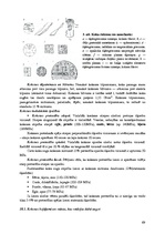 Konspekts 'Būvmateriāli', 69.