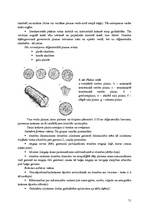 Konspekts 'Būvmateriāli', 71.