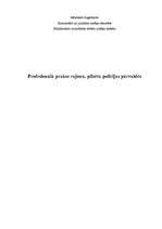 Prakses atskaite 'Profesionālā prakse rajonu, pilsētu policijas pārvaldēs', 1.