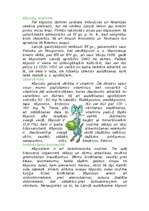 Referāts 'Kāposti', 1.