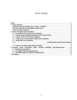 Prakses atskaite 'Caurvešanas spējas noteikšana viena ceļa dzelzceļa līnijai "Zilupe - Ventspils"', 2.